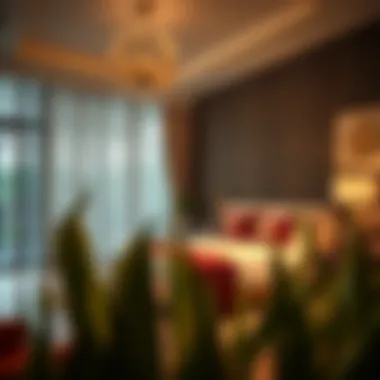 Magnificent Exploring Room Rental Options in Discovery Gardens Magnificent Exploring Room Rental Options in Discovery Gardens