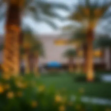 An Exploration of Al Twar Park: A Central Hub for Community Life in Dubai Summary