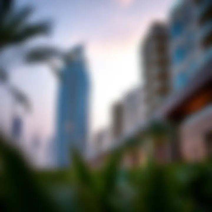 Investment potential analysis of Damac Vera