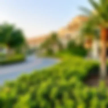 Community Lifestyle in Jumeirah Village Circle Lush green parks and recreational areas in JVC, emphasizing community lifestyle