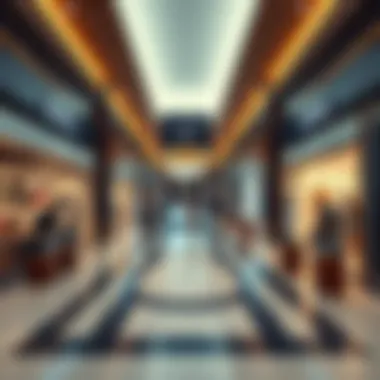 Luxury Brand Offerings at Dubai Outlet Malls An array of luxury brand products available at a Dubai outlet