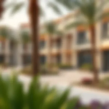 Vibrant community spaces and parks within Park Terrace