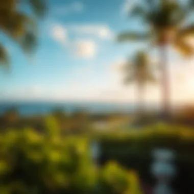 Lush landscape and recreational areas by Palm West Beach