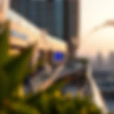 Understanding Nakheel Mall Rooftop Ticket Prices and Experience Summary