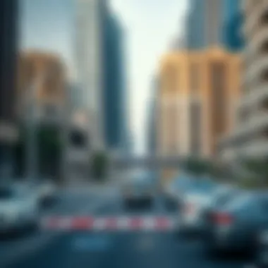 An illustration of parking zones in Dubai highlighting different areas and regulations.